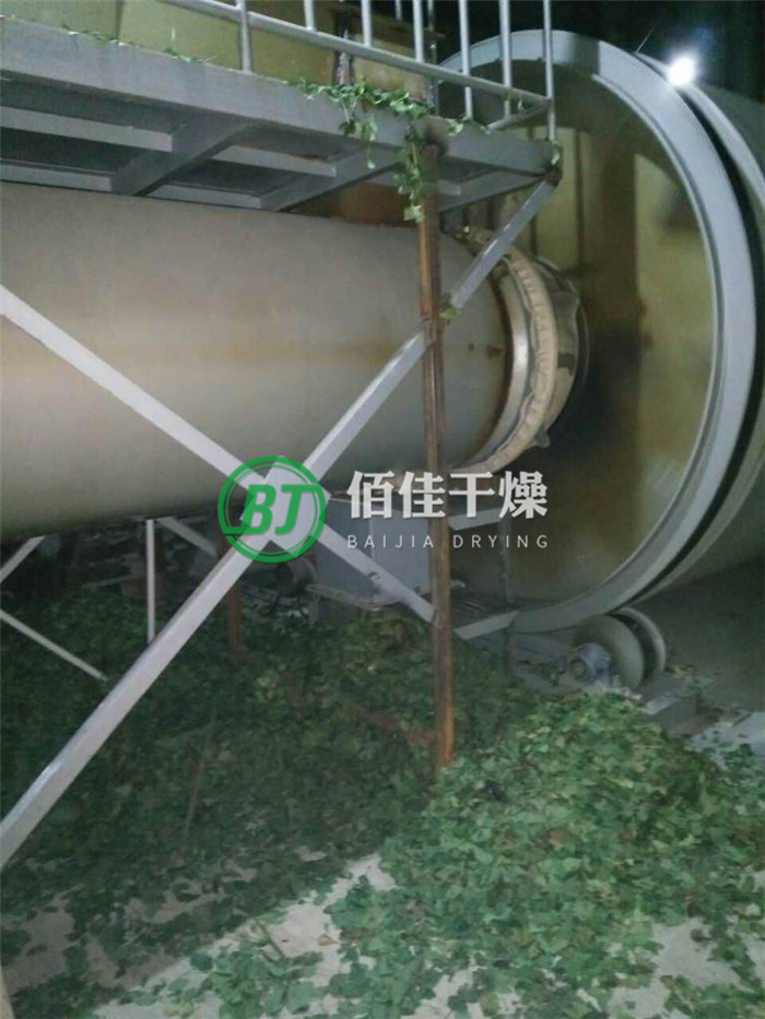 點擊放大 HG銀杏葉烘干機
