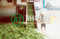 點擊放大 HG銀杏葉烘干機