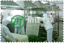 點擊放大 CG箱式脫水干燥機